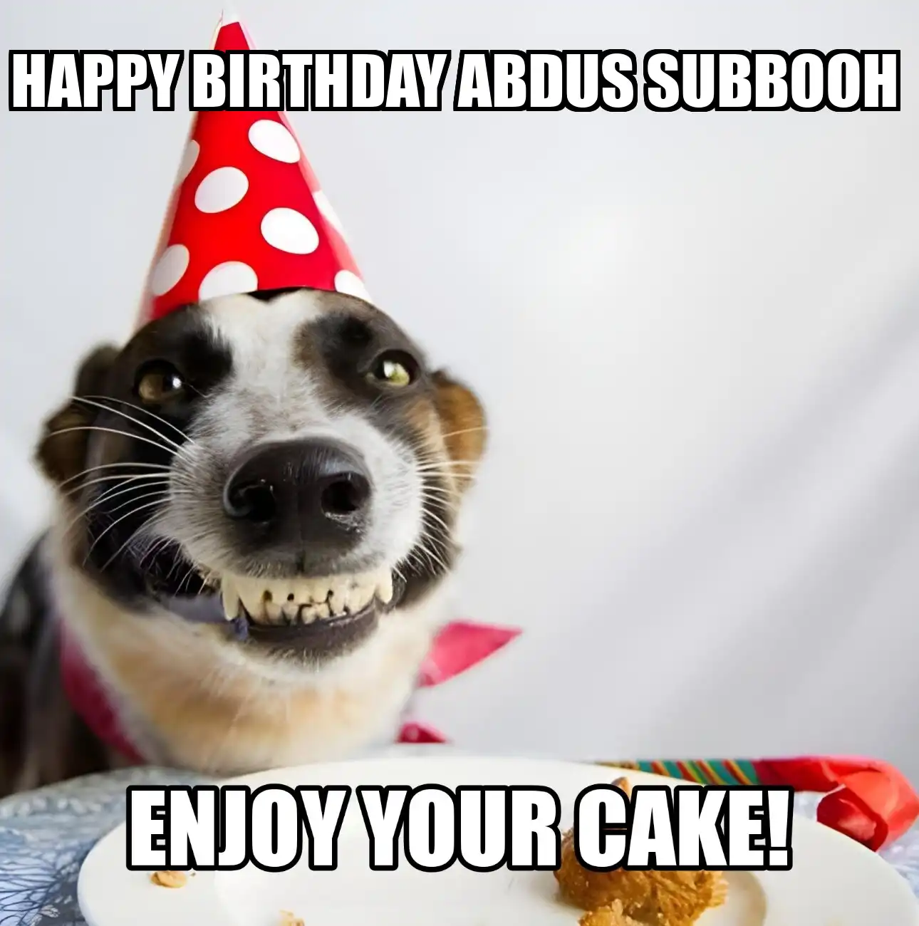 Happy Birthday Abdus Subbooh Enjoy Your Cake Dog Meme